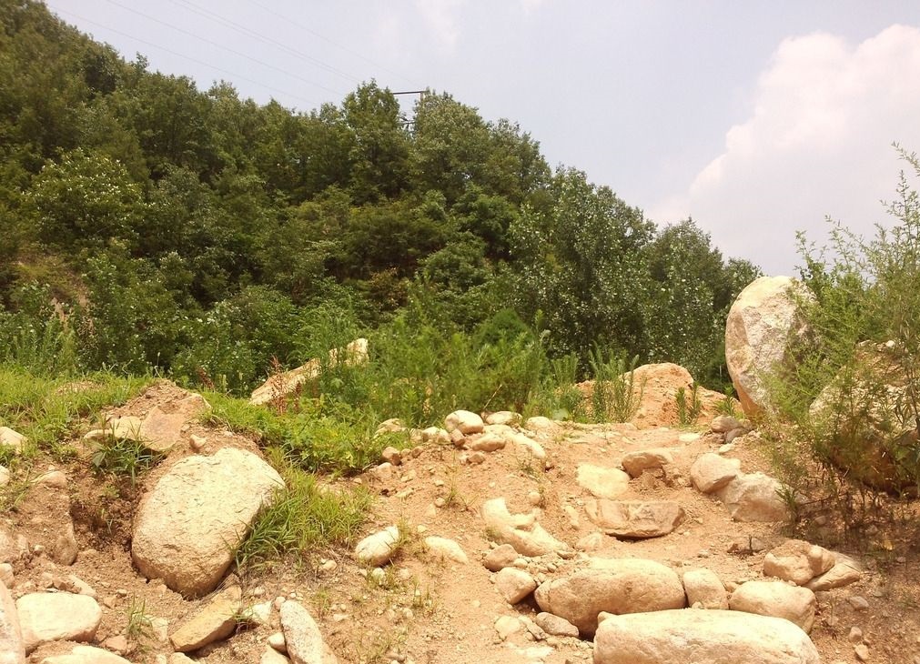 实受蛋儿“老憨儿”