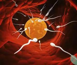 试管促排中为什么要反复抽血?