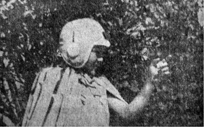 尘封的宝藏，童年的记忆：《动物王国窃案》及那些被遗忘的神作