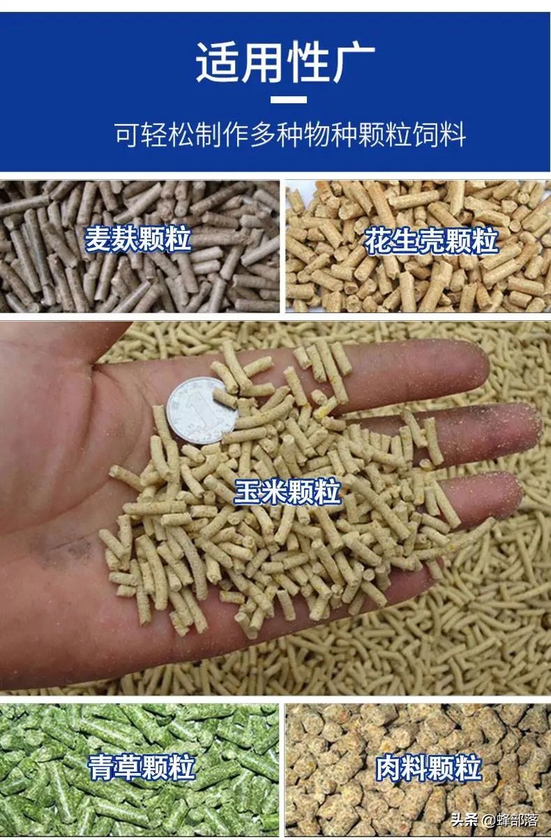 农村10万投资什么项目最赚钱,农村现在什么行业前景好最赚钱的