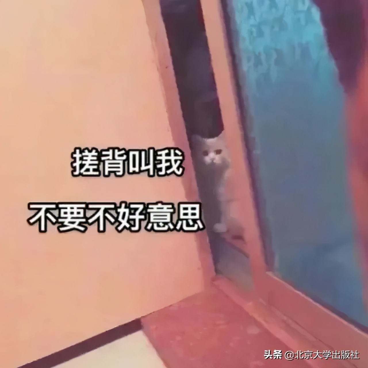 《蒙元入侵前夜的日常生活》,蒙元入侵前夜南宋人的日常生活