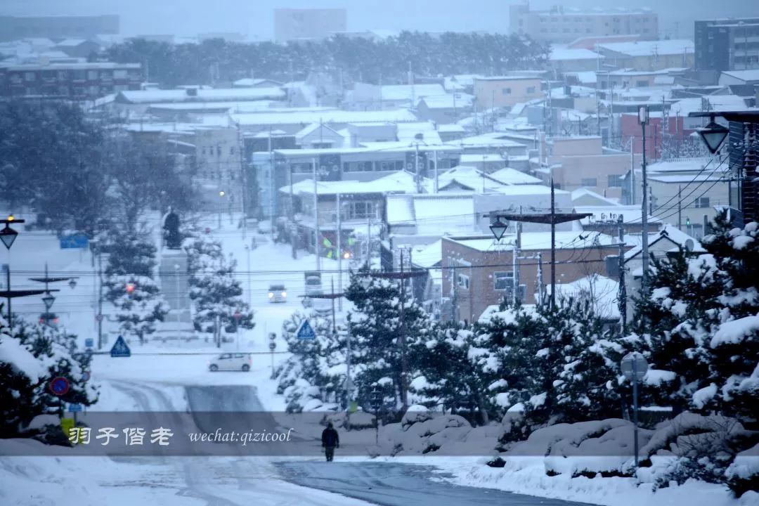 老实说，这一趟北海道就是为了拍好看的照片去的