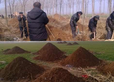 民间风水墓地图片大全,农村墓地风水图解大全