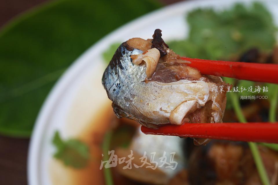 身上有好多刺的海鱼有毒的,背上有毒刺的鱼