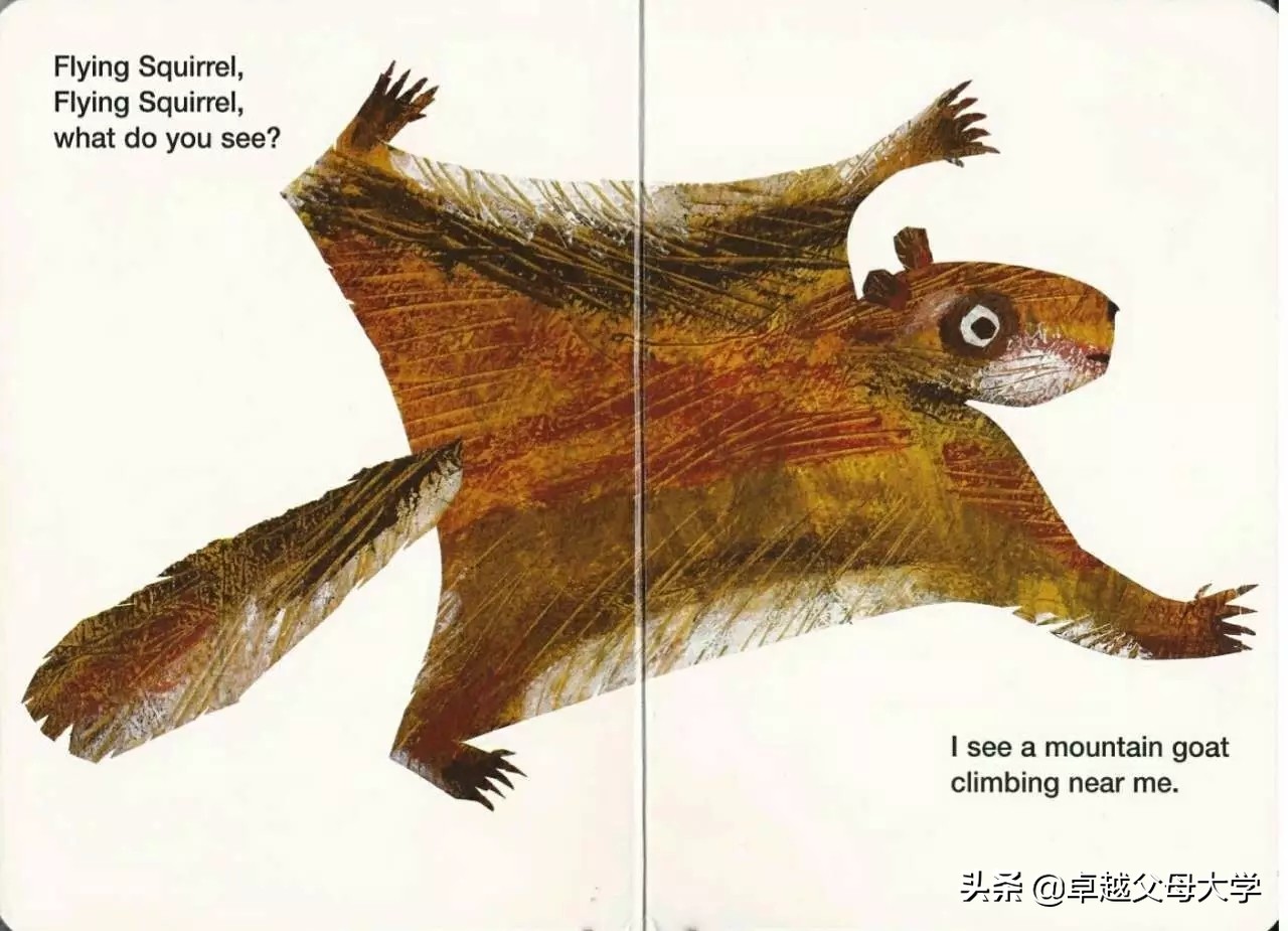 babybear英文绘本,babybearwhatdoyousee绘本