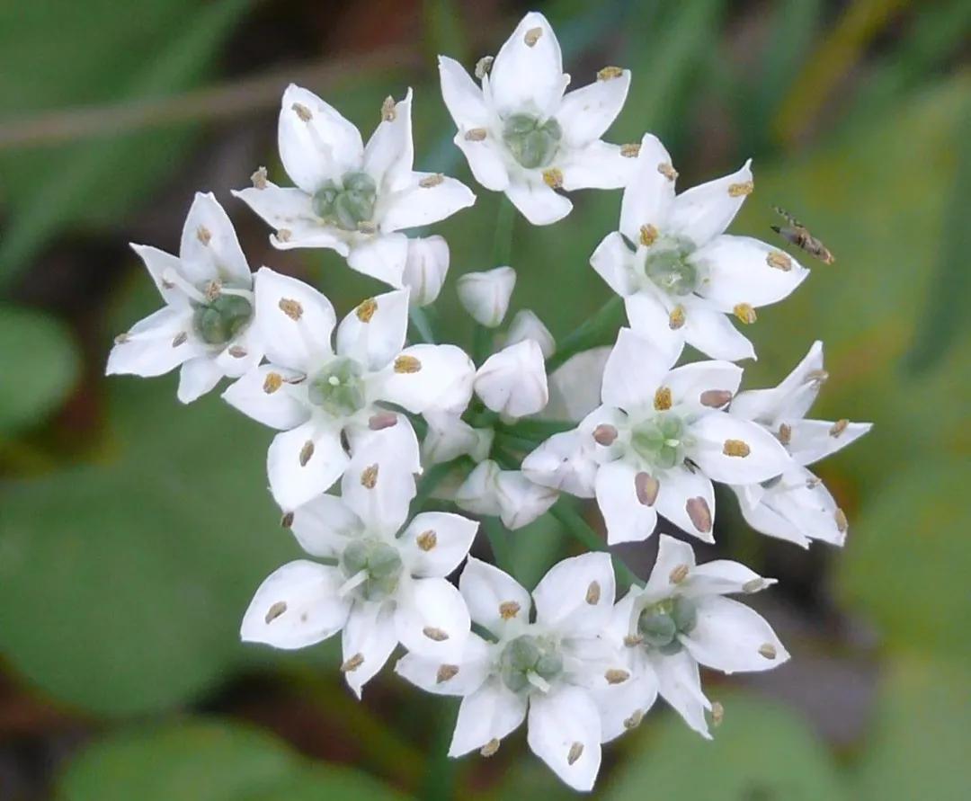 特斯拉禁ap如何解禁,特斯拉禁足令影响