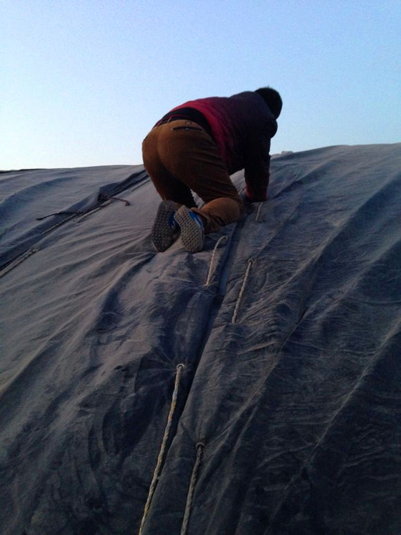 鑺辨埧濮戝澶氳倝閰嶅湡,鑺辨埧濮戝鐜夐湶澶氳倝