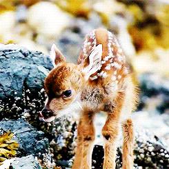 英国伦敦肯辛顿公园,伦敦富人区小众公园