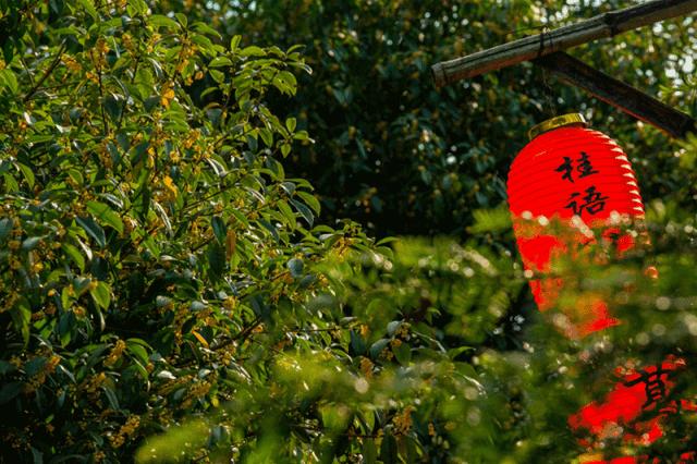 为什么四川的美女比较多,为什么四川美女多