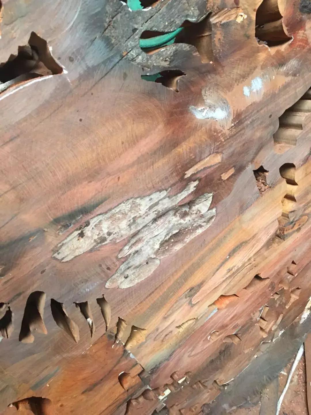 为什么越南的家具便宜,越南红木为啥那么便宜