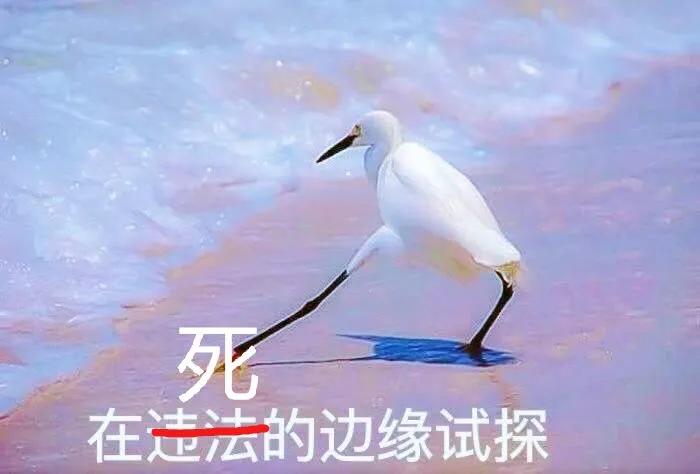 鸭血为什么叫打鸡血,鸡血鸭血有什么区别