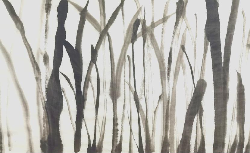 确定性与不确定的流动|城市景观设计有什么新看头?