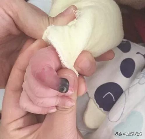 3-6岁孩子正确穿衣,小孩夜间穿衣法则