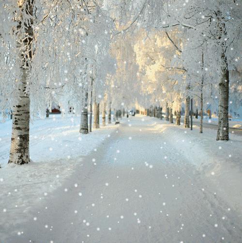 波司登鹅绒立领时装款,波司登鹅绒女装短款