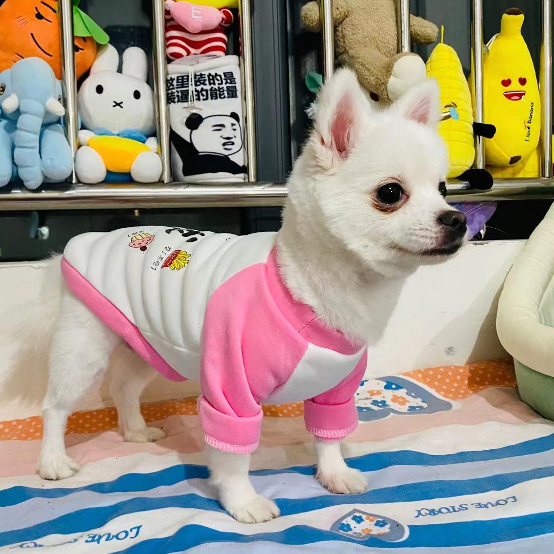 狗狗流鼻涕很严重怎么办吃什么药,小狗狗流鼻涕怎么办