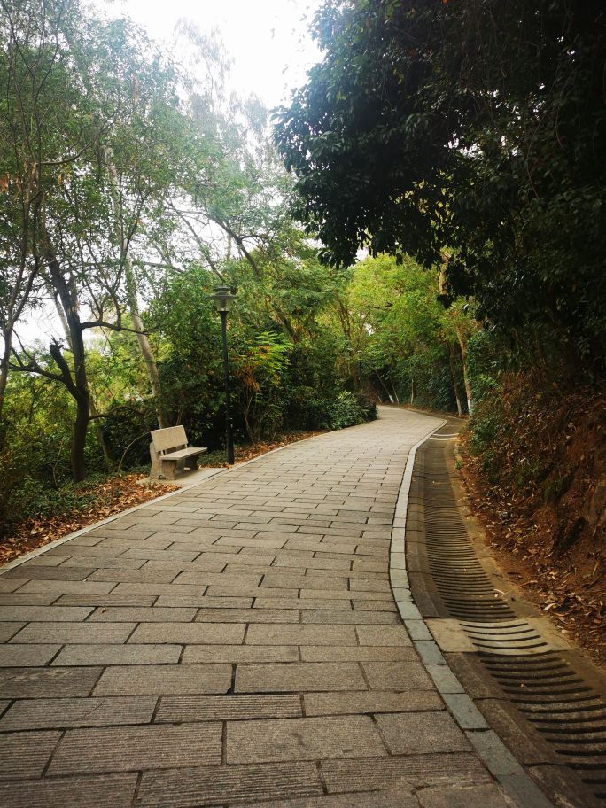 深圳宝安海滨公园游园图,深圳市娱乐场所