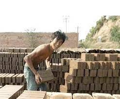 垃圾堆的真实现状,垃圾堆的真实生活