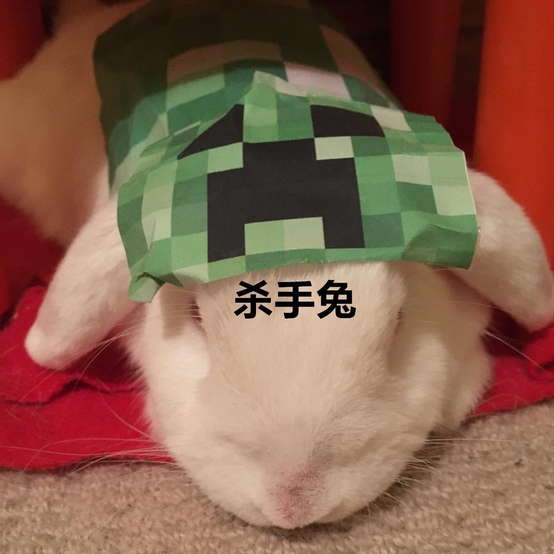 minecraft第一种鸟类,minecraft里的狗怎么才能有