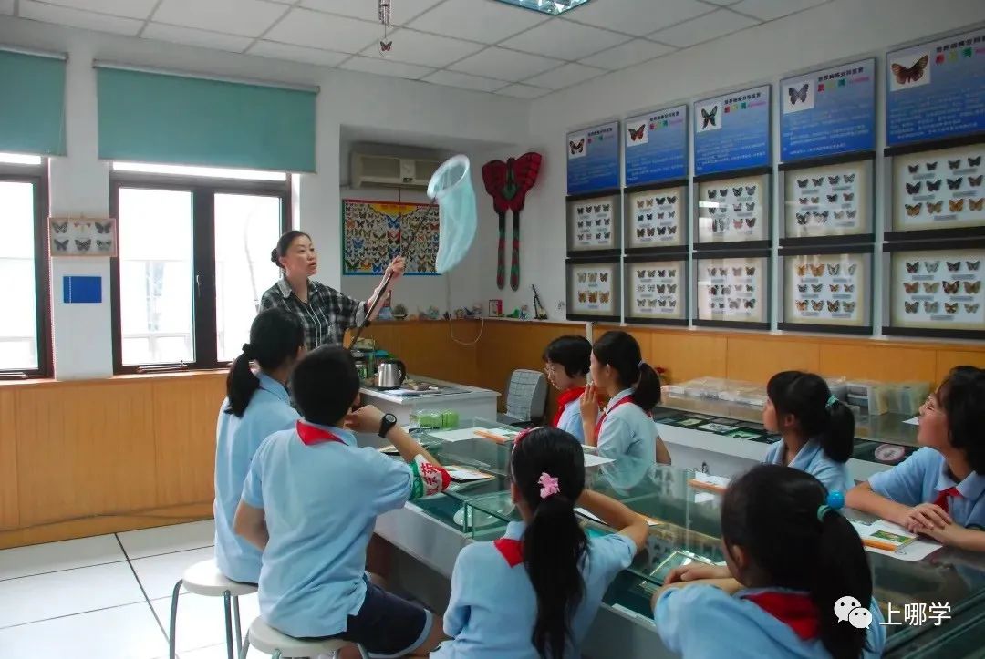 上海九年一贯制学校现状,上海即将建设的九年制学校