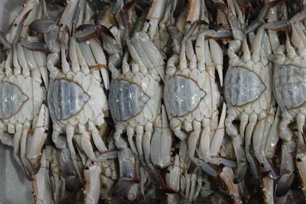 怀孕不能吃螃蟹？准妈牢记“3不吃原则”，孕期也能一饱口福