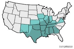 五厘米的巴西红耳龟日常生活,巴西红耳龟可以在陆地上生活吗