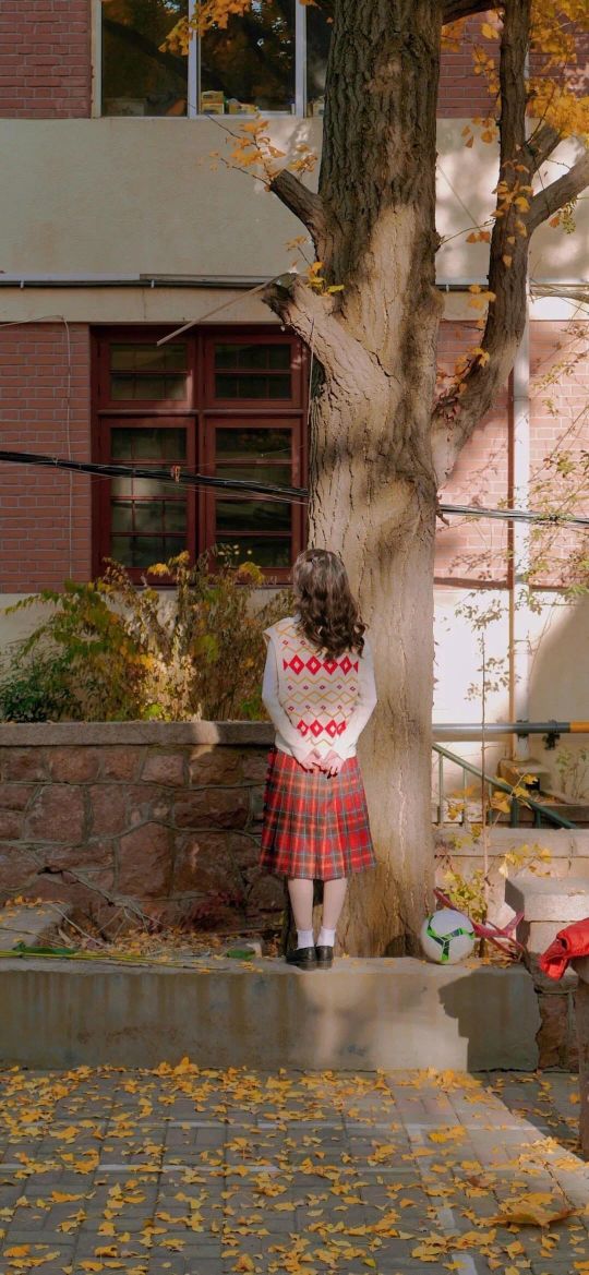 秋天了该吃什么,秋天到了该吃糖炒板栗了