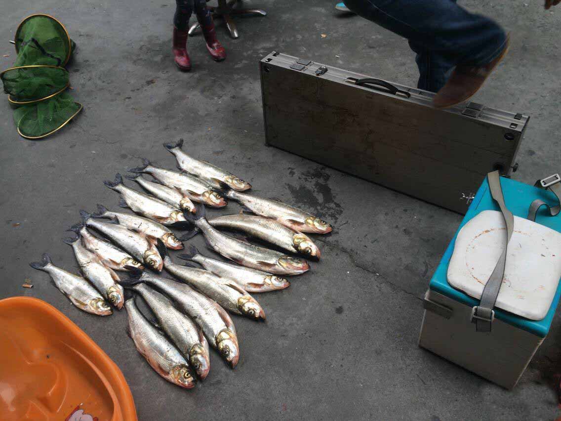 丹江口钓鱼地点推荐筏钓,钓鱼人的最爱野钓水库