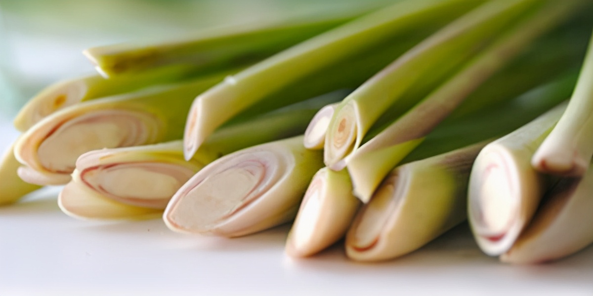 精油的基础知识大全,精油的护肤知识