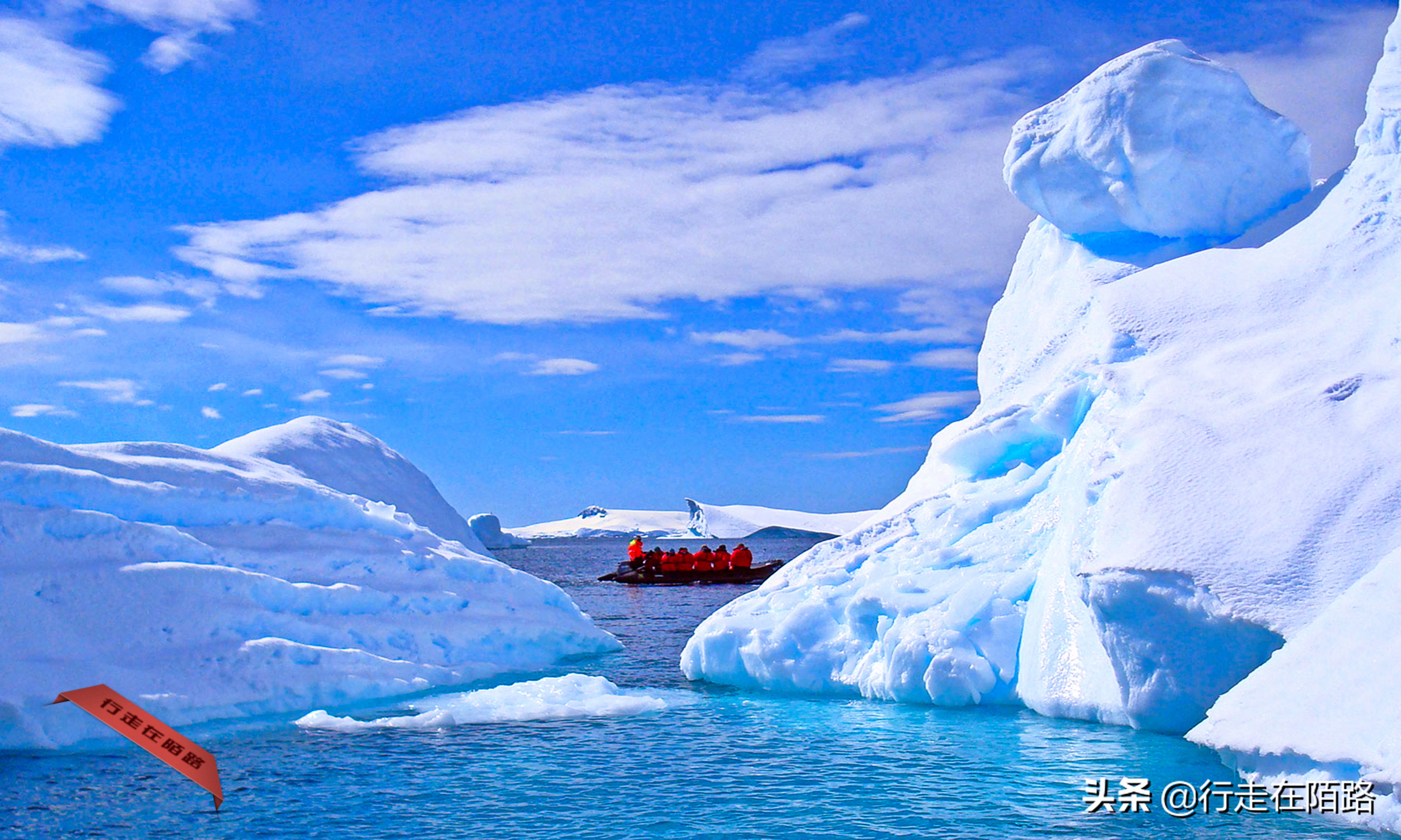 铲屎官的工资,铲屎官工资一天多少钱