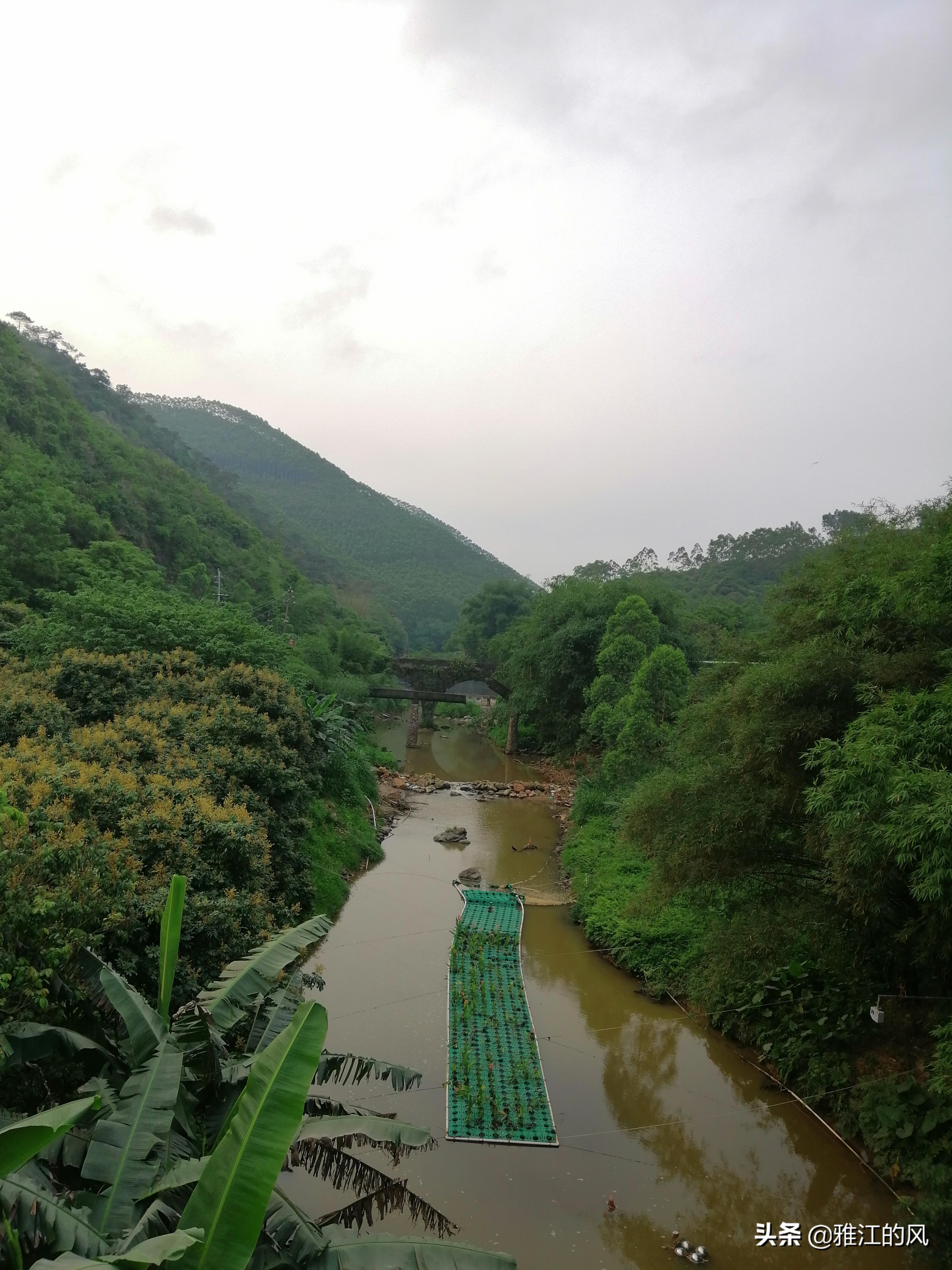 将军陂的故事----鸦桥江灌溉工程纪实（转）