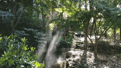 在千岛湖小岛上生活,千岛湖慢生活街区