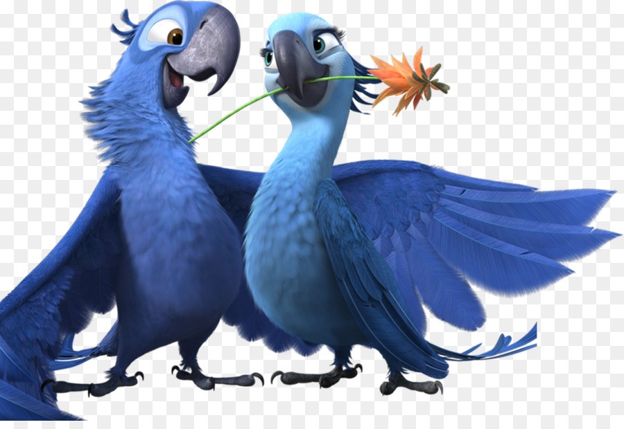 英语阅读初级篇,英语阅读阶梯训练基础篇