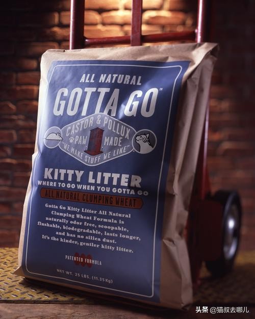 2023猫粮排行榜前十名推荐,2018年最佳全猫粮榜单