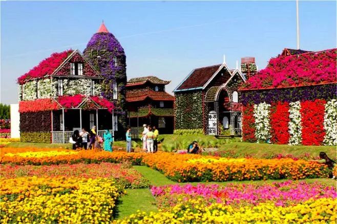 女神节有无与伦比的美丽,女神节浪漫游花海