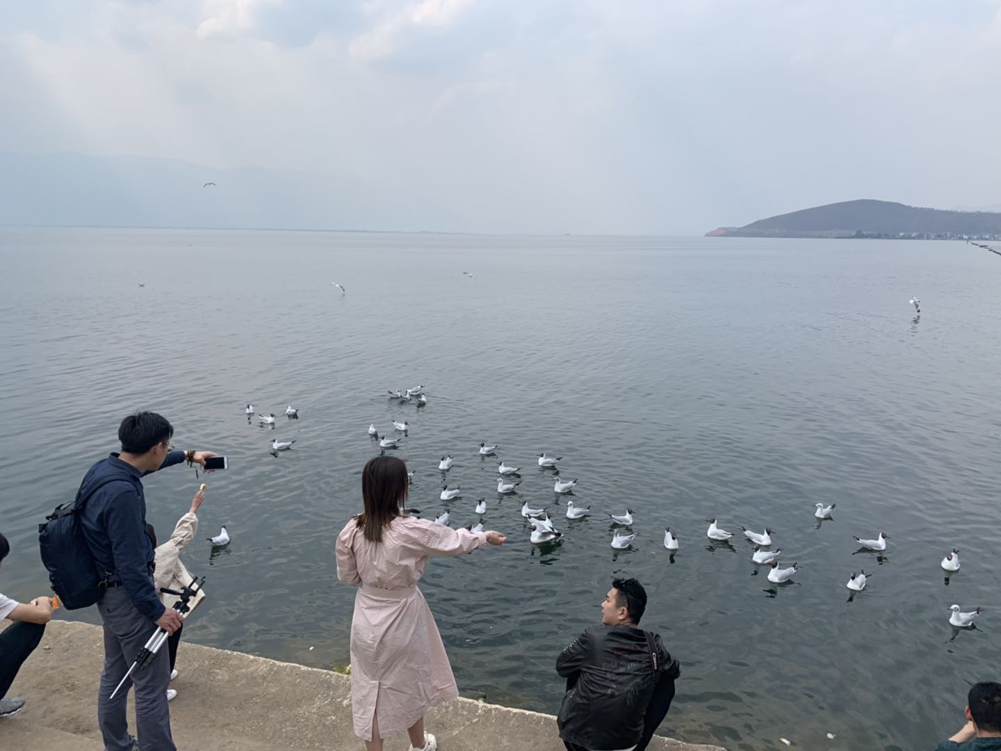 三亚气候宜居吗,三亚气候最好的时间