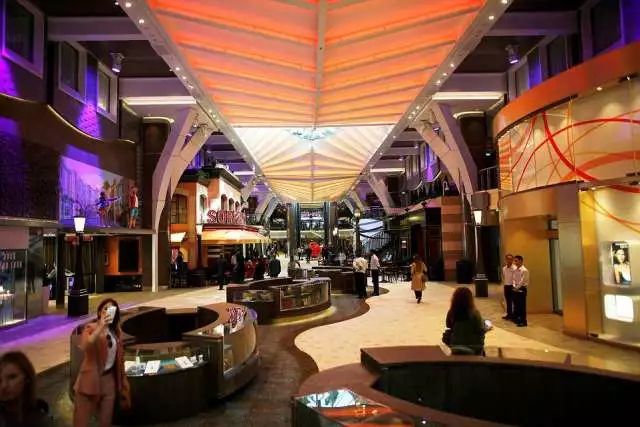 1000000000的邮轮长什么样?游乐场、购物中心样样齐全