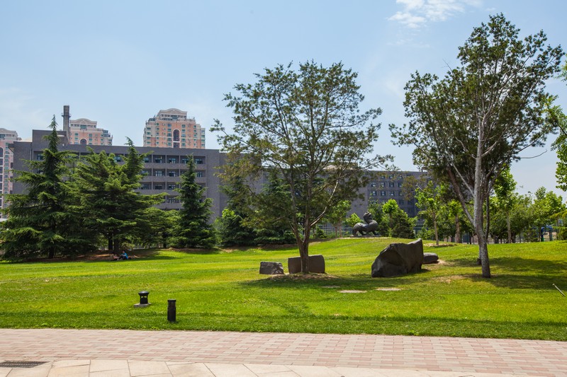 美术校考八大美院中国美术学院,九大美术院校与八大美院