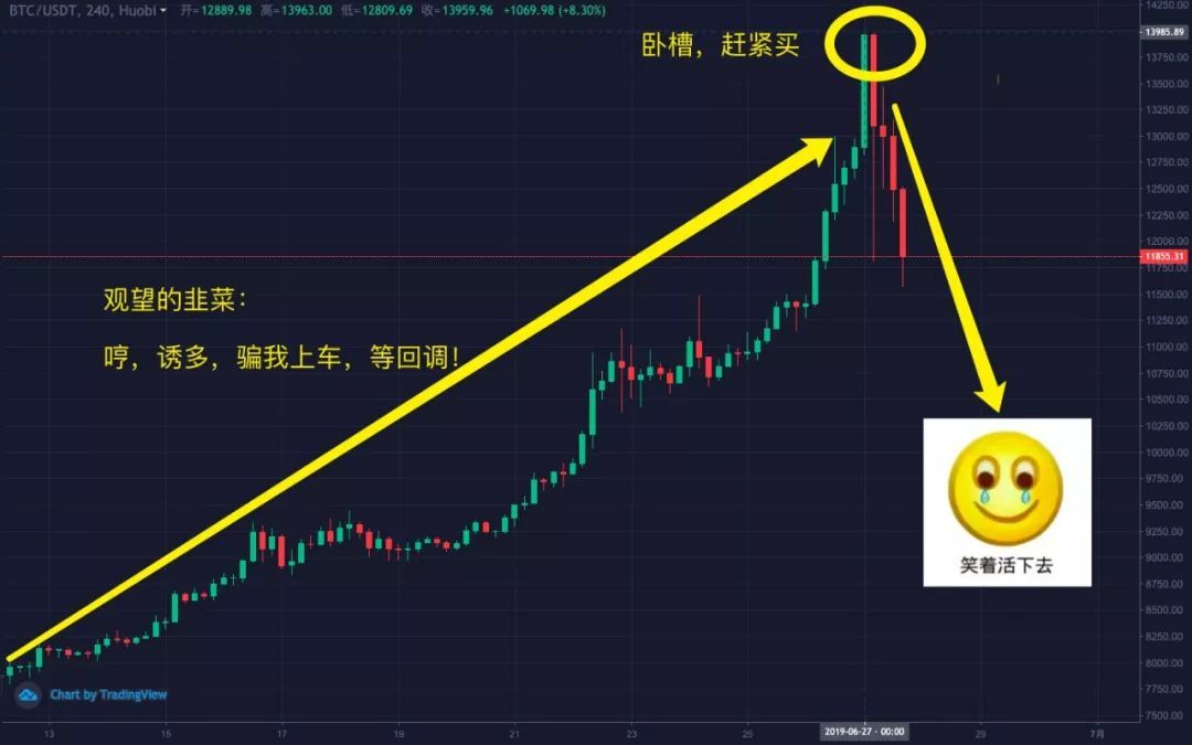 *币特比**世界中,谁是最强奶王?