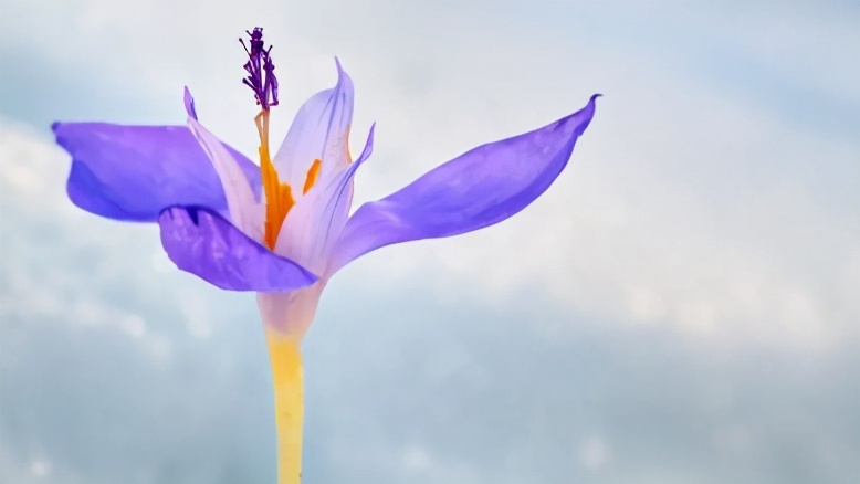 教师腹有诗书气自华,读新时代教师专业成长的读后感