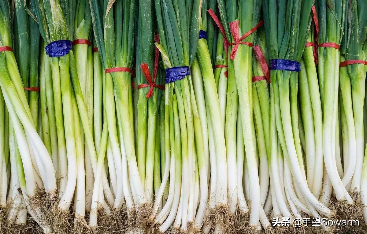 “兴正礼乐，度制于是政”，国礼是政治的媒介？