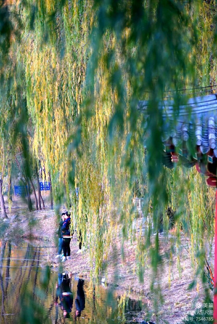 玉泉山北坞公园介绍,北坞村玉泉山