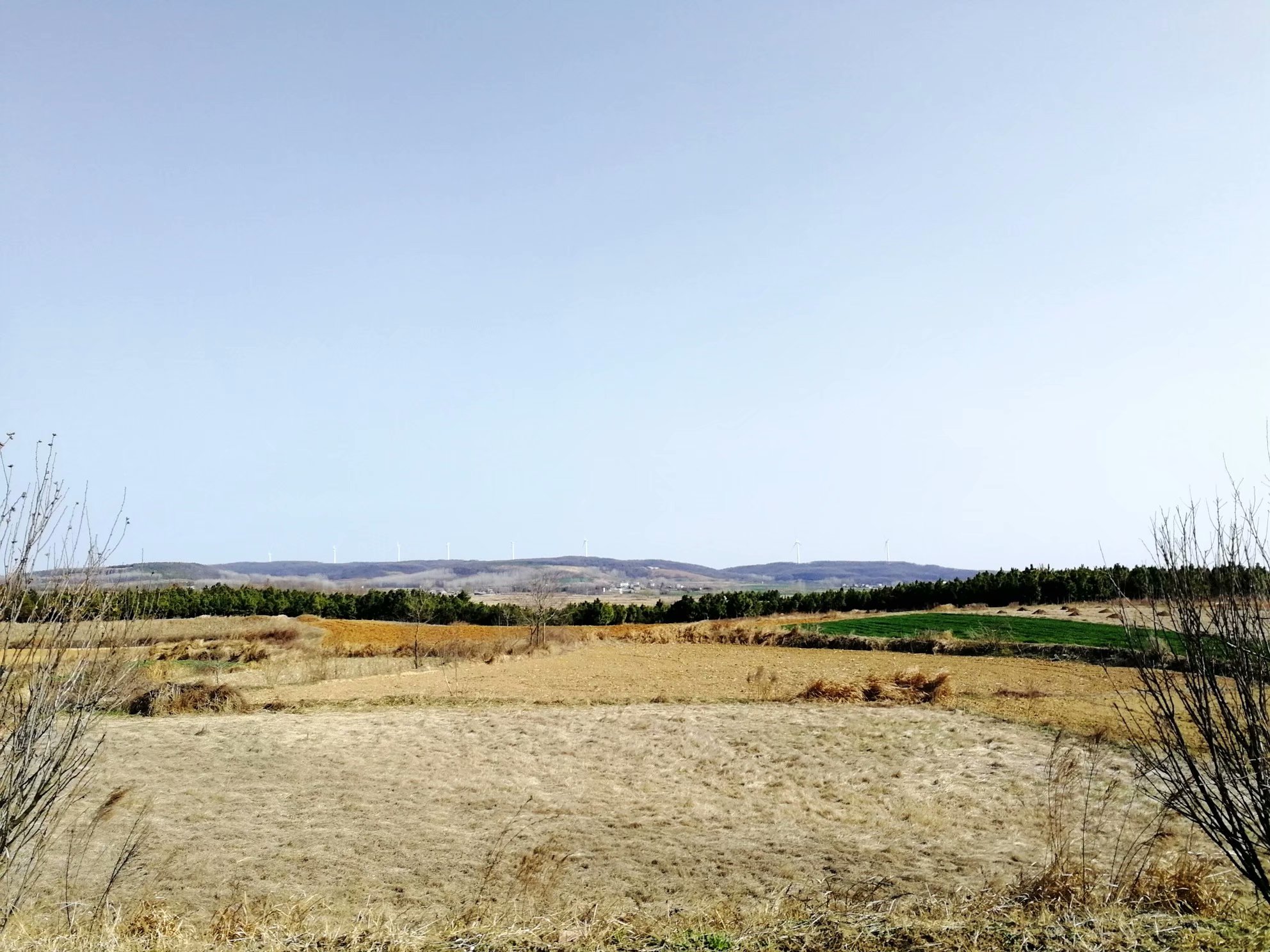 摩托周边旮旯游——探访明光法华禅庵塔