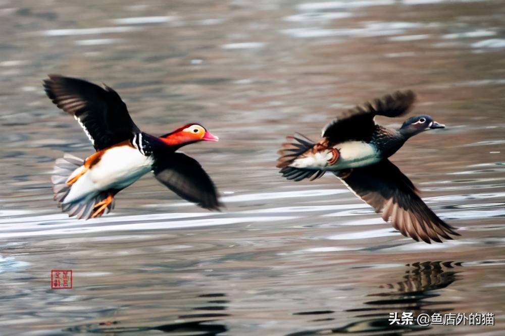 2023结婚对联大全七字联,对联乡下