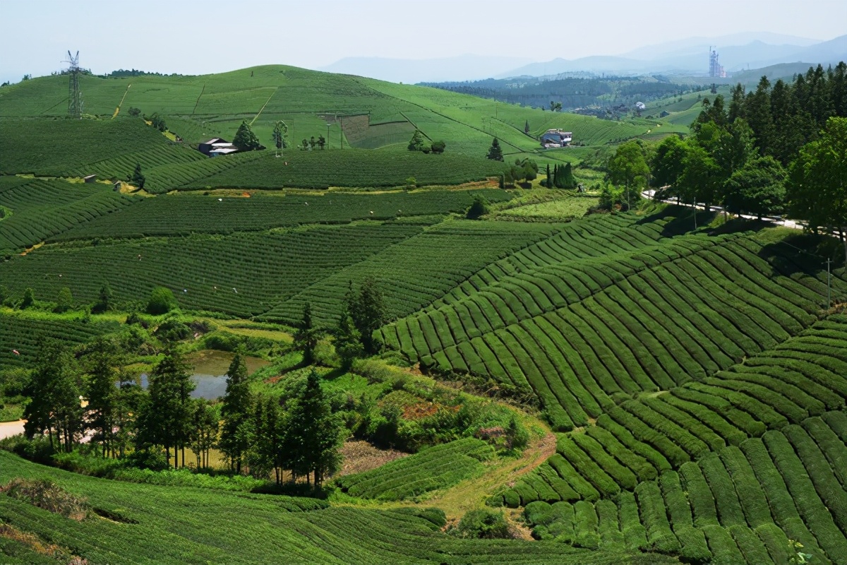 新春走基层农行人,新春走基层贵州千户苗寨