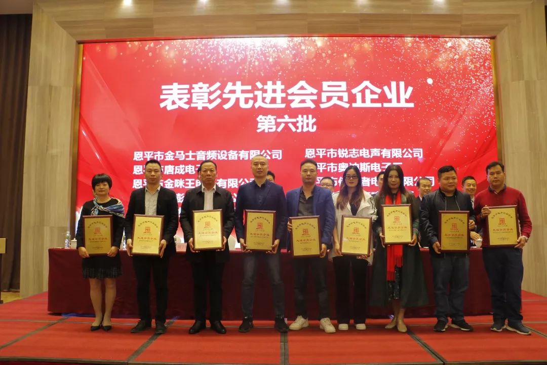 恩平电声行业协会成员,恩平协会