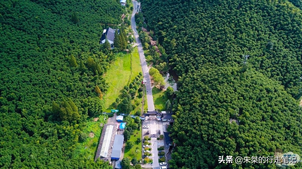 安吉哪里的竹最好,安吉的竹子