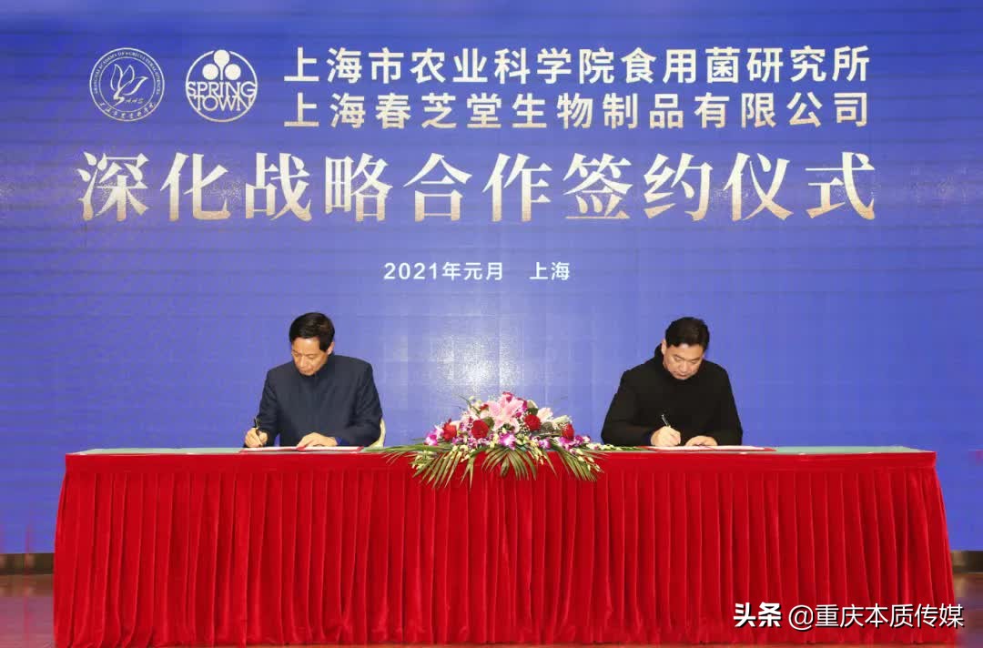 上海春芝堂食用菌,上海春芝堂食用菌最新新闻