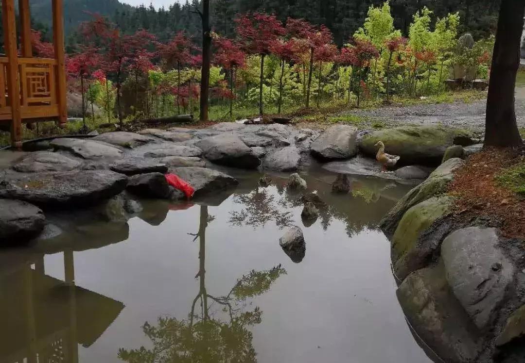 怀化周边游农庄,怀化农庄农家乐转让