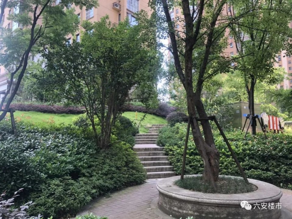 六安房价最贵的房子,六安十大最贵二手房小区曝光