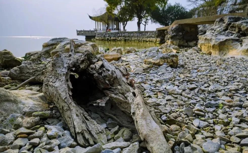 苏州西山十大知名农家乐有哪些,带你走一走苏州的太湖边农家乐